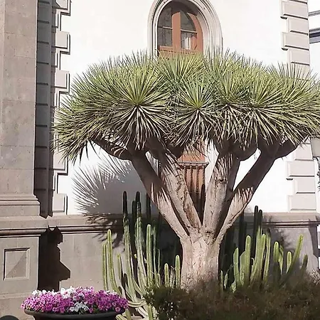 Apartamento Piso De Lujo En El Centro Santa Cruz de Tenerife